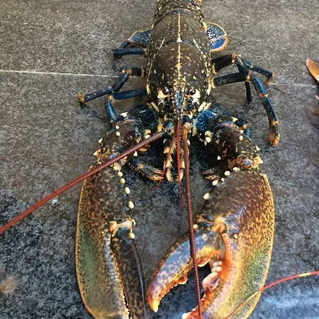 Cala Arenella Alojamento de Acomodação e Pequeno-almoço