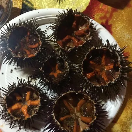 Cala Arenella Alojamento de Acomodação e Pequeno-almoço